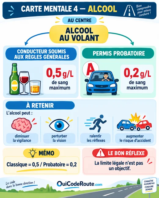 Carte mentale : Alcool