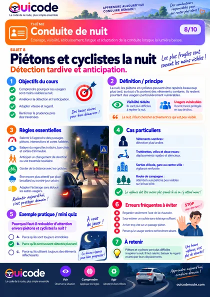 Aperçu de la fiche Piétons et cyclistes la nuit