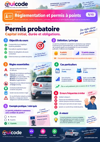 Aperçu de la fiche Permis probatoire